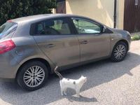 Usata Fiat Bravo Active 120 CV (88 kW) 2008 Utilitaria