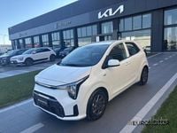 Usata Kia Picanto Urban 63 CV (46 kW) 2024 Bianco Utilitaria