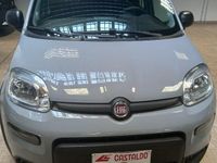 Usata Fiat Panda City Life 69 CV (50 kW) 2023 Grigio Berlina