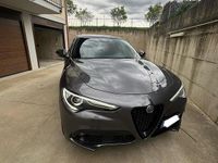 Usata Alfa Romeo Stelvio Veloce 210 CV (154 kW) 2020 Grigio SUV