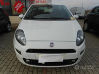 usata Fiat Punto Evo - 2016