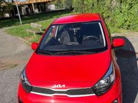 Usata Kia Picanto MY23 101 CV (74 kW) 2022 Rosso Utilitaria