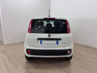 Usata Fiat Panda 69 CV (50 kW) 2021 Bianco Utilitaria