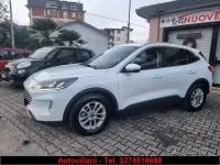 Usata Ford Kuga Titanium 120 CV (88 kW) 2020 Bianco SUV