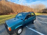 Usata Fiat Panda 54 CV (39 kW) 2001 Verde Utilitaria