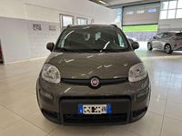 Usata Fiat Panda City Life 69 CV (50 kW) 2022 Antracite Utilitaria