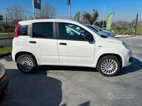 Usata Fiat Panda Easy 85 CV (62 kW) 2012 Bianco Utilitaria