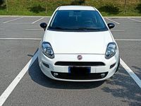 Usata Fiat Punto Lounge 95 CV (69 kW) 2017 Bianco Utilitaria