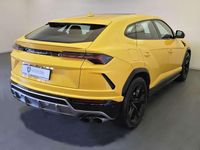 Usata Lamborghini Urus 650 CV (478 kW) 2019 Giallo SUV