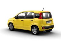 Usata Fiat Panda S 69 CV (50 kW) 2024 Giallo Utilitaria