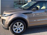 Usata Land Rover Range Rover evoque SE Dynamic 241 CV (177 kW) 2017 Bronzo SUV