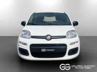 Nuova Fiat Panda Icon 65 CV (47 kW) 2026 Bianco gelato pastello Utilitaria