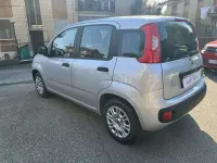 Usata Fiat Panda Easy 69 CV (50 kW) 2016 Argento Utilitaria