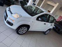 Usata Fiat Panda Lounge 71 CV (52 kW) 2020 Bianco Utilitaria