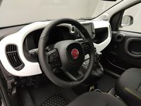 Usata Fiat Panda Cross Cross 70 CV (51 kW) 2025 Verde Utilitaria