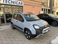 Usata Fiat Panda Cross Cross 69 CV (50 kW) 2020 Grigio Utilitaria