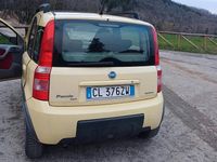 Usata Fiat Panda 4x4 60 CV (44 kW) 2005 Giallo Utilitaria