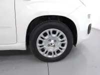 Nuova Fiat Panda Icon 70 CV (51 kW) 2025 Bianco Utilitaria