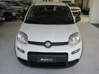 Usata Fiat Panda S 70 CV (51 kW) 2024 Bianco Utilitaria