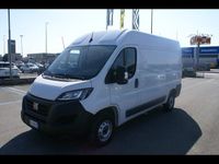 Usata Fiat Ducato 140 CV (102 kW) 2024 Bianco / pastello Furgone