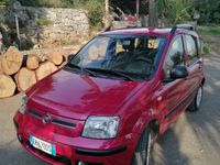 Usata Fiat Panda 75 CV (55 kW) 2011 Utilitaria