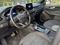 Usata Ford Kuga ST-Line 152 CV (111 kW) 2023 Bianco SUV