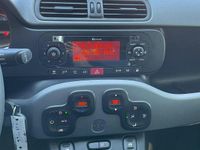 Usata Fiat Panda 70 CV (51 kW) 2020 Grigio Utilitaria