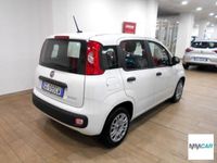 usata Fiat Panda -- 1.0 FireFly S&S Hybrid