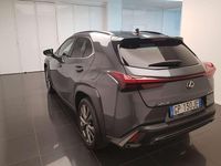 Usata Lexus UX 250h 145 CV (106 kW) 2023 Grigio SUV