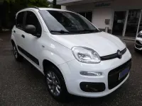 Usata Fiat Panda 4x4 80 CV (58 kW) 2017 Bianco Utilitaria