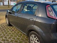 Usata Fiat Punto 65 CV (47 kW) 2015 Grigio Utilitaria