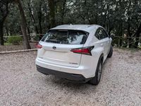 Usata Lexus NX300h Executive Line 155 CV (114 kW) 2015 Bianco SUV