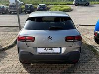 Usata Citroën C4 Shine 110 CV (80 kW) 2019 Grigio SUV