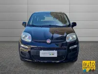 Usata Fiat Panda Pop 69 CV (50 kW) 2018 Nero Utilitaria