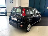 usata Fiat Panda 1.0 FireFly S&S Hybrid