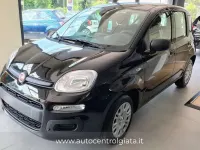 Nuova Fiat Panda S 69 CV (50 kW) 2025 Nero Utilitaria