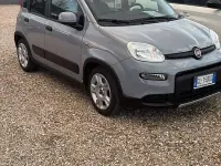 Usata Fiat Panda Sport 69 CV (50 kW) 2022 Utilitaria