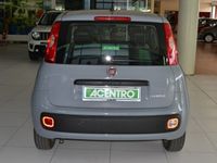 usata Fiat Panda 1.0 70cv HYBRID