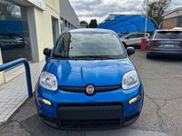 Usata Fiat Panda S 69 CV (50 kW) 2024 Blu/azzurro Utilitaria