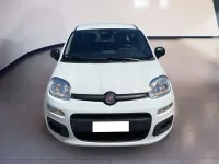 Usata Fiat Panda 69 CV (50 kW) 2025 Bianco Utilitaria