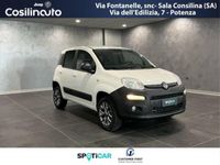 usata Fiat Panda 4x4 1.3 MJT Pop Van 2 posti