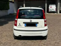 Usata Fiat Panda Dynamic 60 CV (44 kW) 2009 Bianco Utilitaria