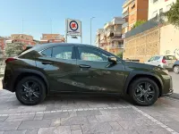 Usata Lexus UX 300h 152 CV (111 kW) 2024 Verde SUV