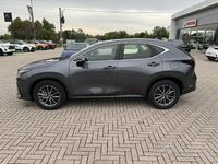 Usata Lexus NX350h Business Edition 244 CV (179 kW) 2024 Grigioblack SUV