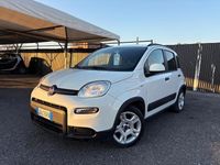 Usata Fiat Panda 70 CV (51 kW) 2023 Bianco Berlina