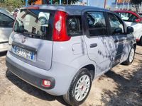 usata Fiat Panda 1.0 hybrid Launch Edition s&s 70cv