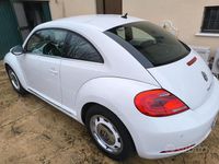 Usata VW Beetle 105 CV (77 kW) 2012 Bianco Utilitaria