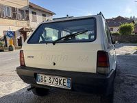 Usata Fiat Panda 4x4 Trekking 54 CV (39 kW) 1999 Utilitaria