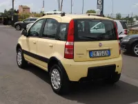 Usata Fiat Panda 4x4 Climbing 69 CV (50 kW) 2012 Giallo Utilitaria
