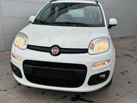 usata Fiat Panda 1.2 Lounge